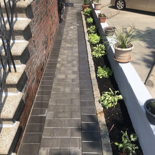 A serene walkway lined with lush plants leading up to a charming house, creating a welcoming atmosphere.